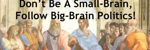 Big-Brain Politics Profile Banner