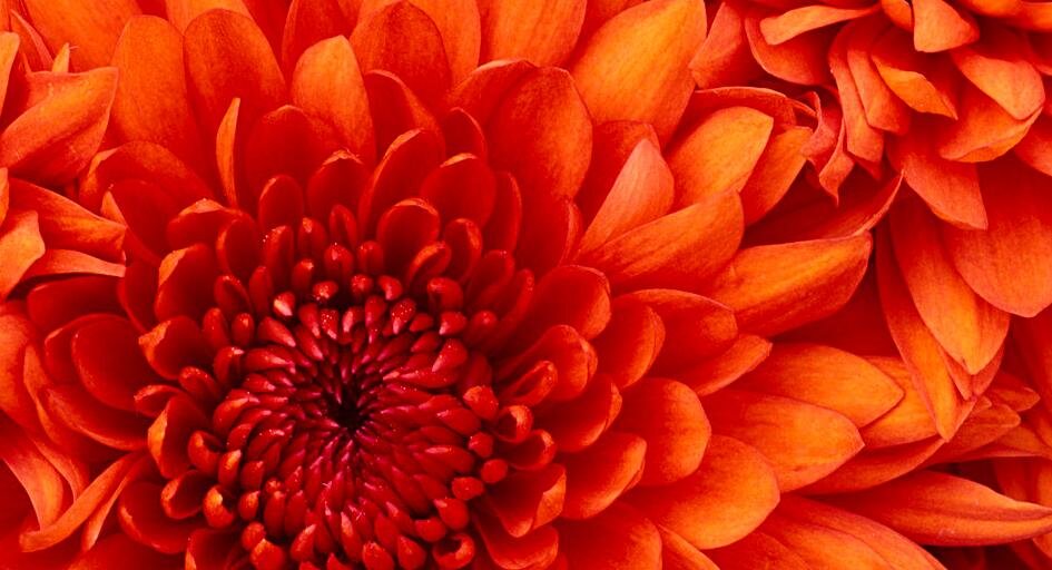 henri_cc's profile banner image
