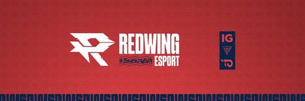 RedWinG eSport Profile Banner