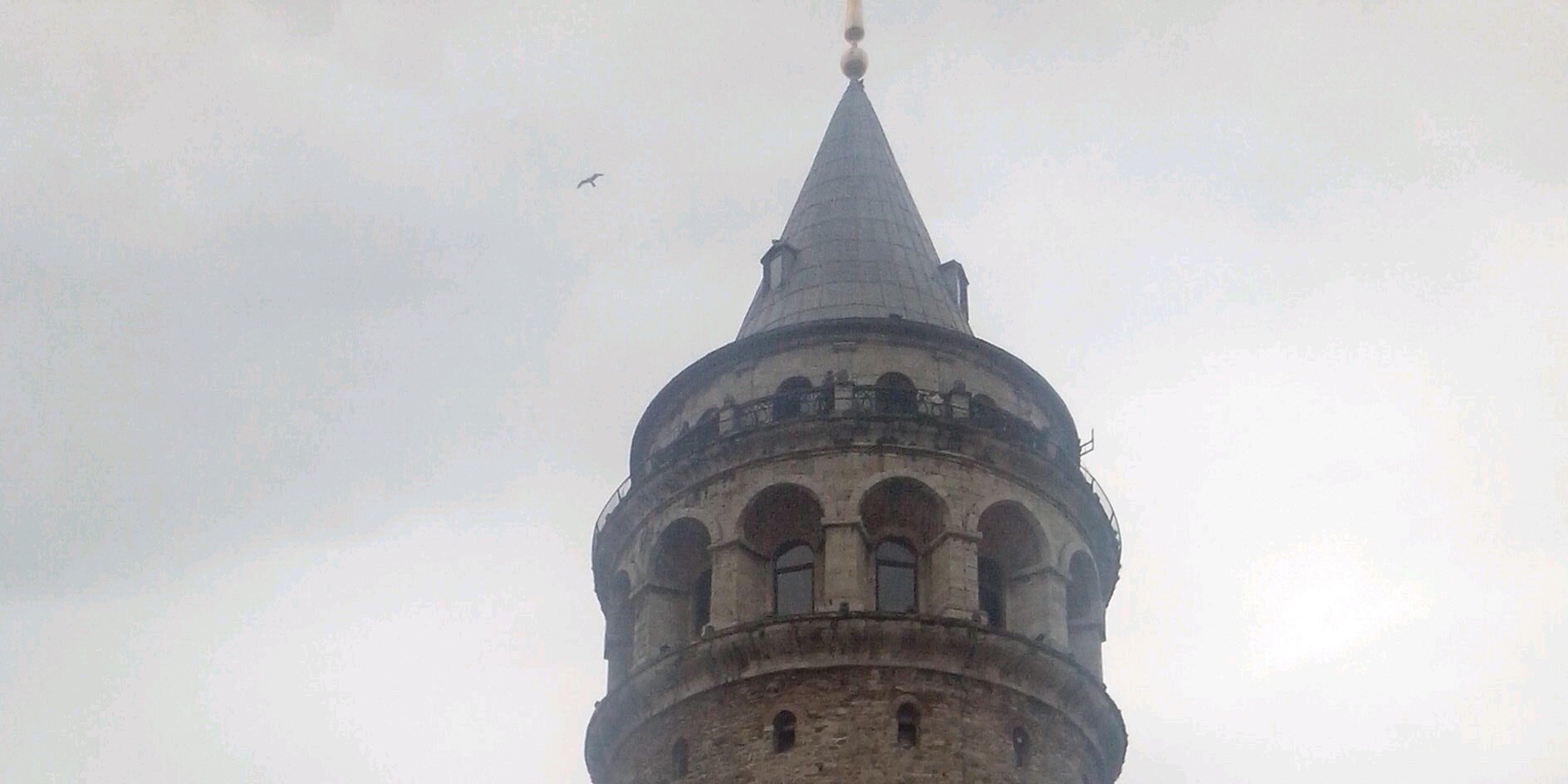 mim_muzaffer's profile banner image