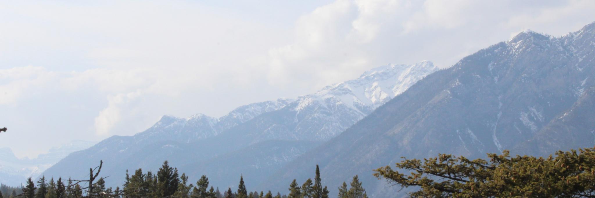 Esiri1's profile banner image