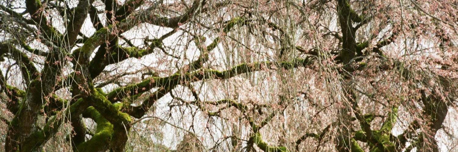 Patrick Harper banner