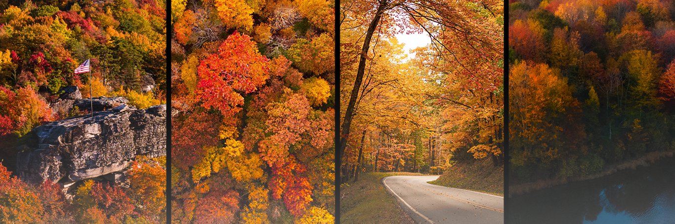 Explore Fall's banner