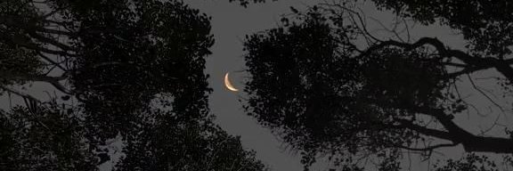غریب آشنا banner