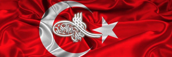 AlperIIK1215843 Profile Banner