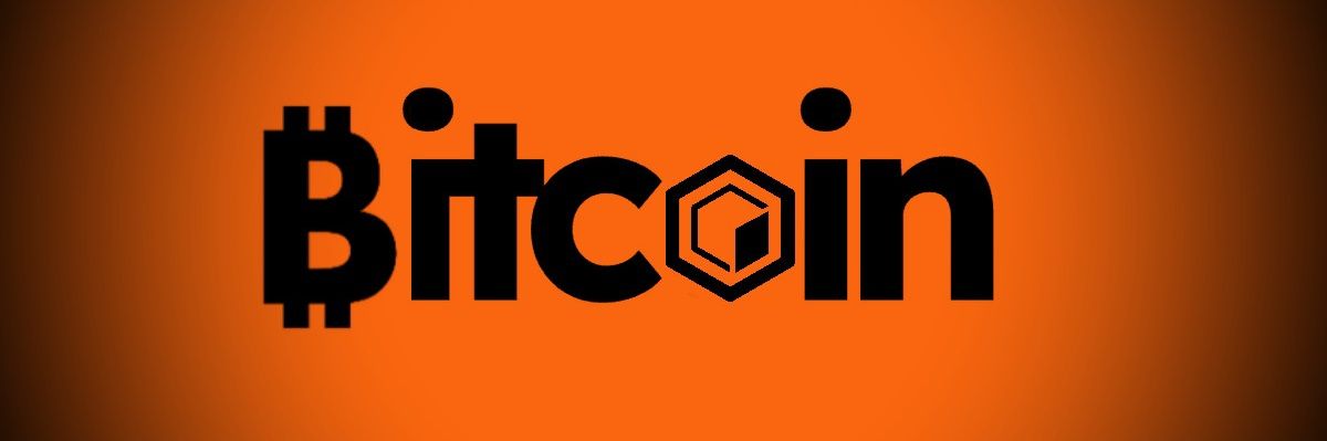 Mr.COCKER 🔶 banner