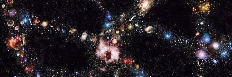 SharonRao's profile banner image