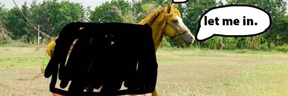 🍉EyeBug🍉 banner