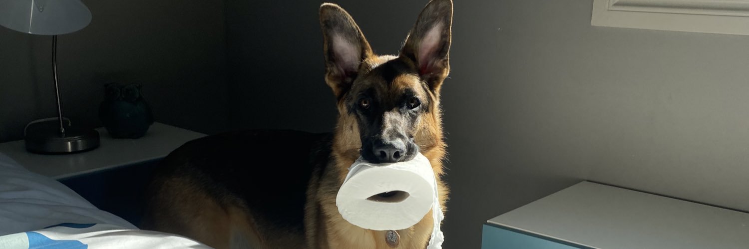 Adam Adapted 🇨🇦 banner