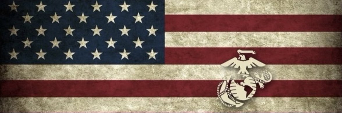 Sig Int Marine banner