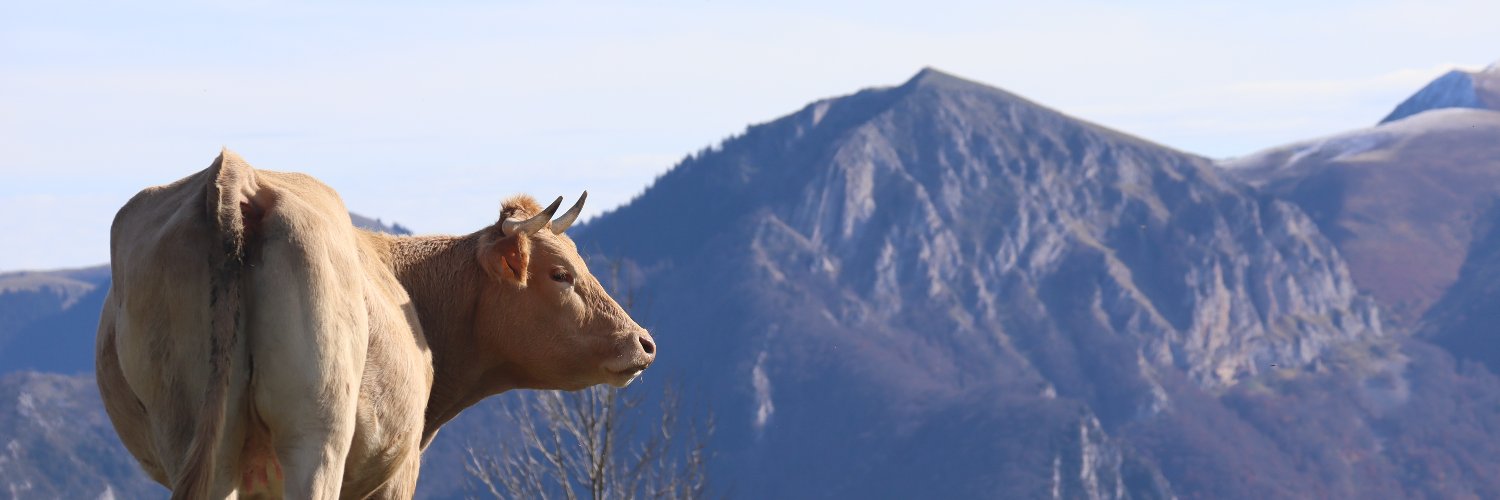 🇨🇴🇨🇺Thomas RAMOS stan account🇨🇺🇨🇴 banner