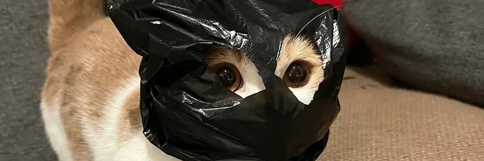ItsBigCDC's profile banner image
