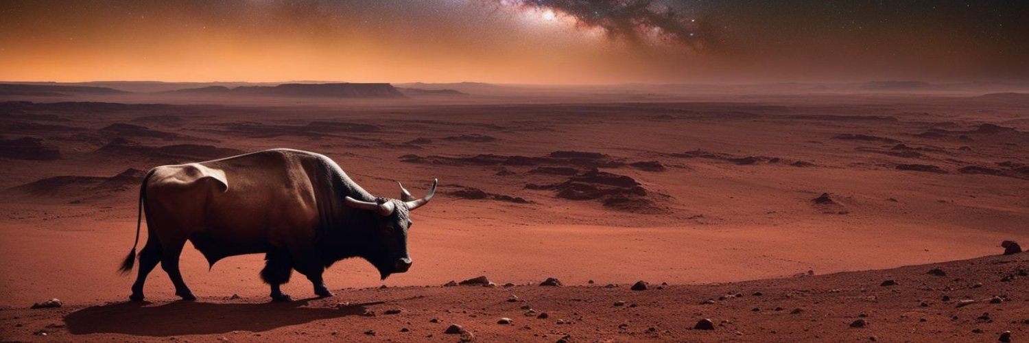 Moonover 🌪️🐻🐐⛓️🔮🌕 DEEK .sol banner