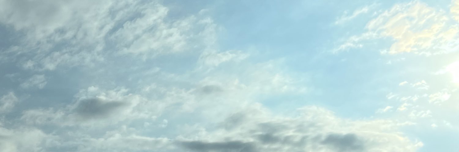 jade_shellis's profile banner image