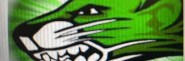 bhsbearcatsport Profile Banner