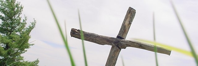 Donna Cloutier banner