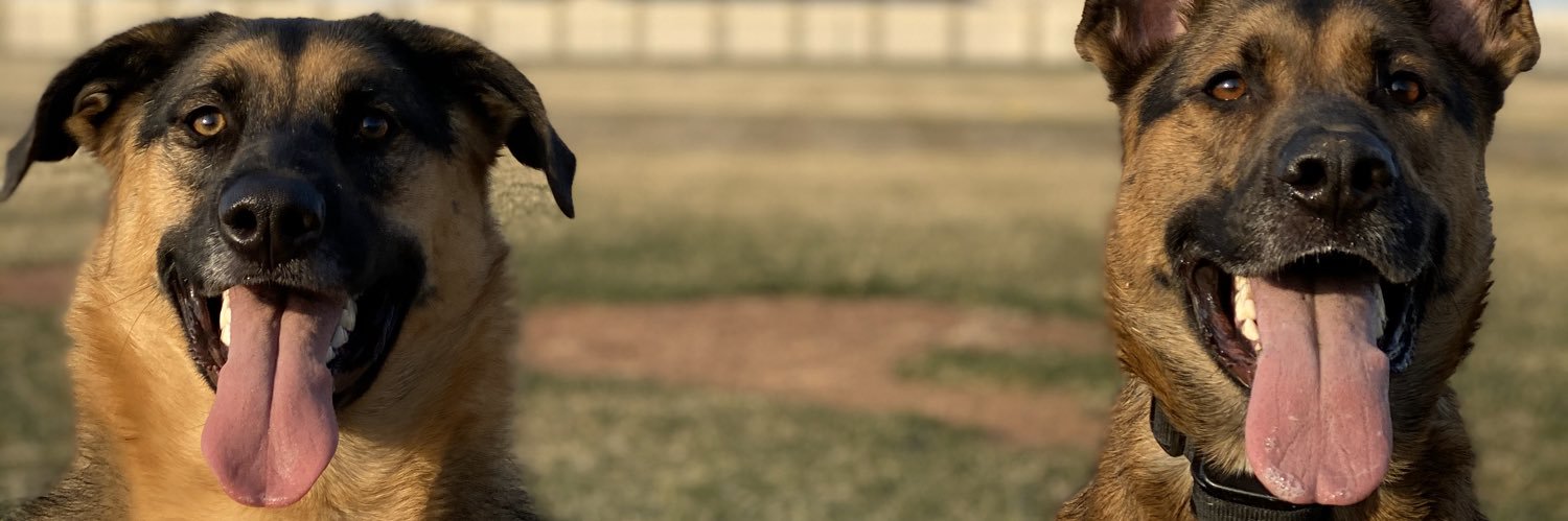 emma_gorst's profile banner image