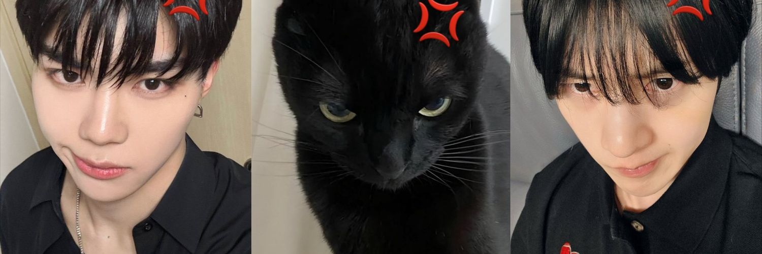 matthew mejor amigo de sese banner