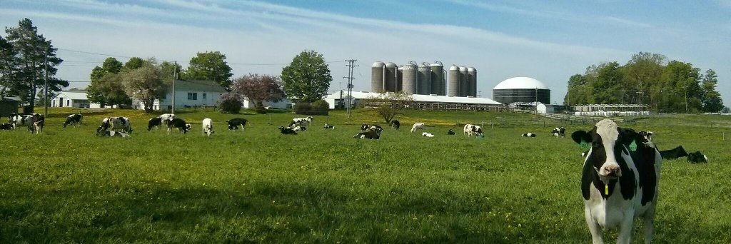 Rodrigo Albornoz banner