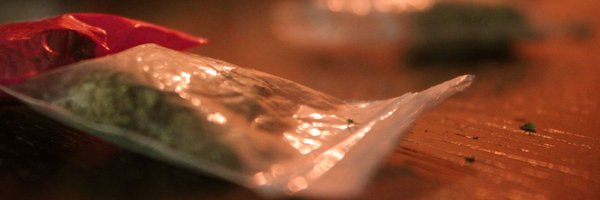 organicCREAM Profile Banner