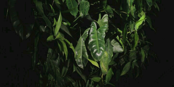 ahmdprayga's profile banner image