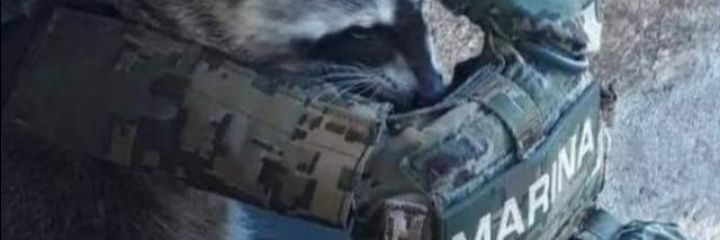 TEKILAFROX's profile banner image