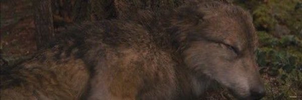 Fated2Phase Profile Banner