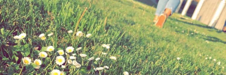 serenaHooper5's profile banner image