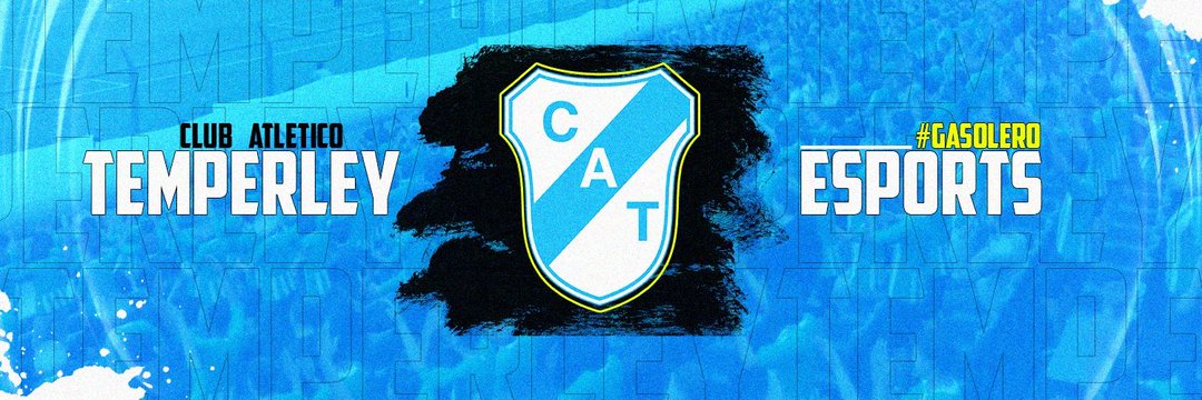 Temperley Esports banner