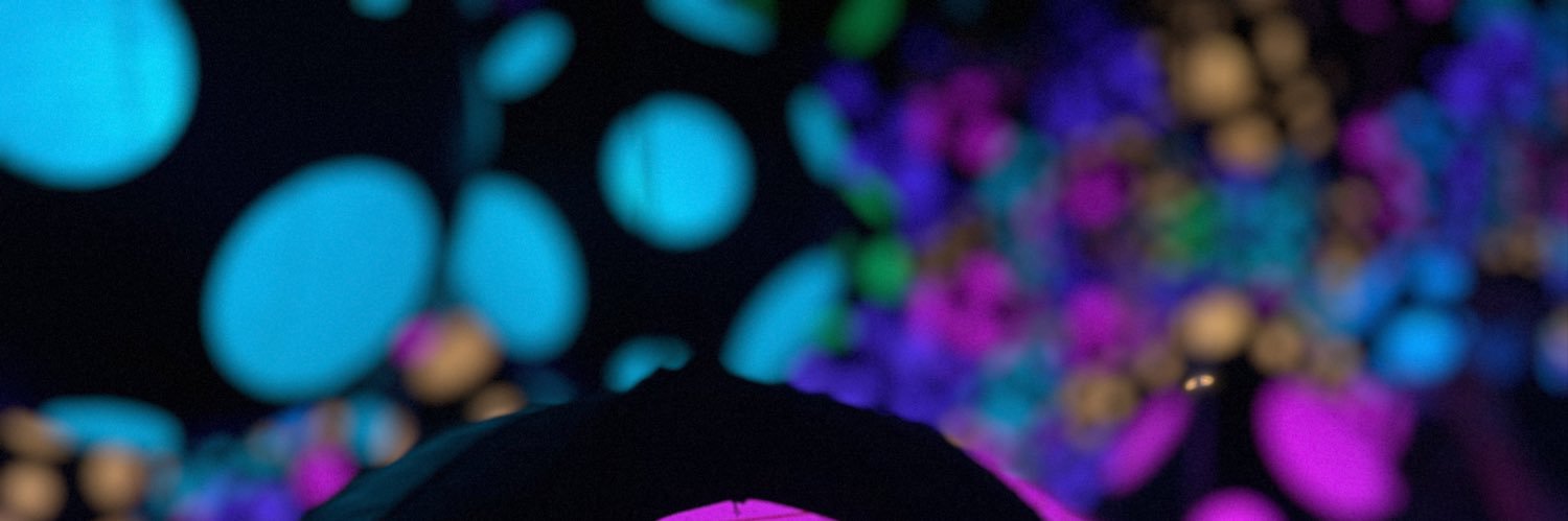erikthebrown's profile banner image