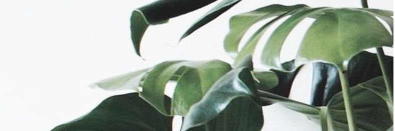 amaronaindu's profile banner image