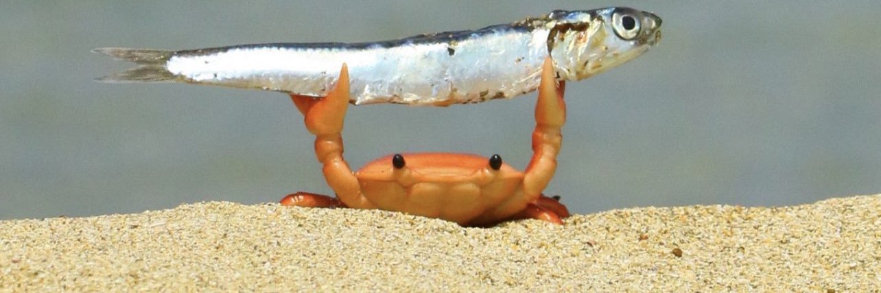 Proactive Flailer banner