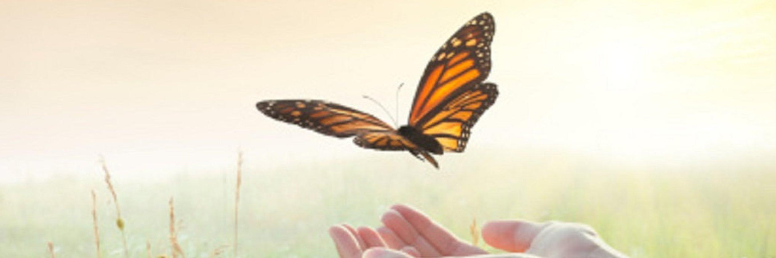 InnateExpressio's profile banner image