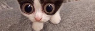meba_chill's profile banner image