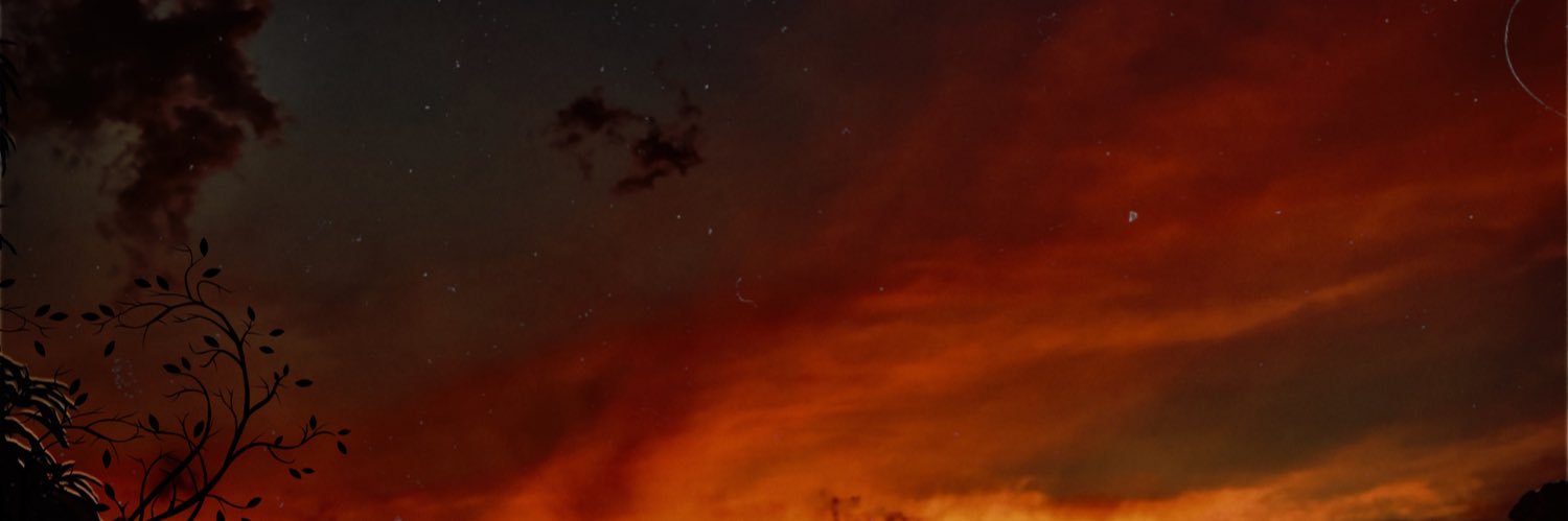 chikin n’ chipz banner