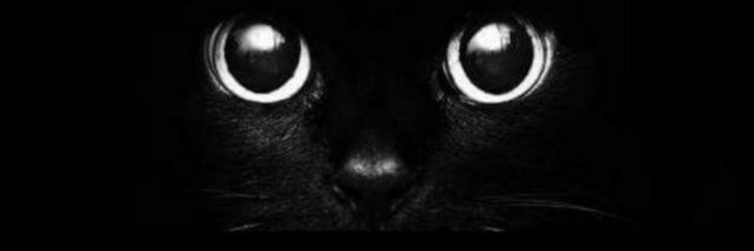mangieleon's profile banner image