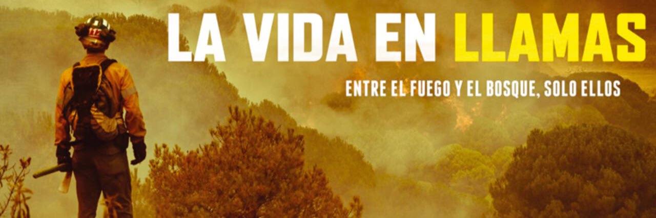 Enllamas_doc's profile banner image