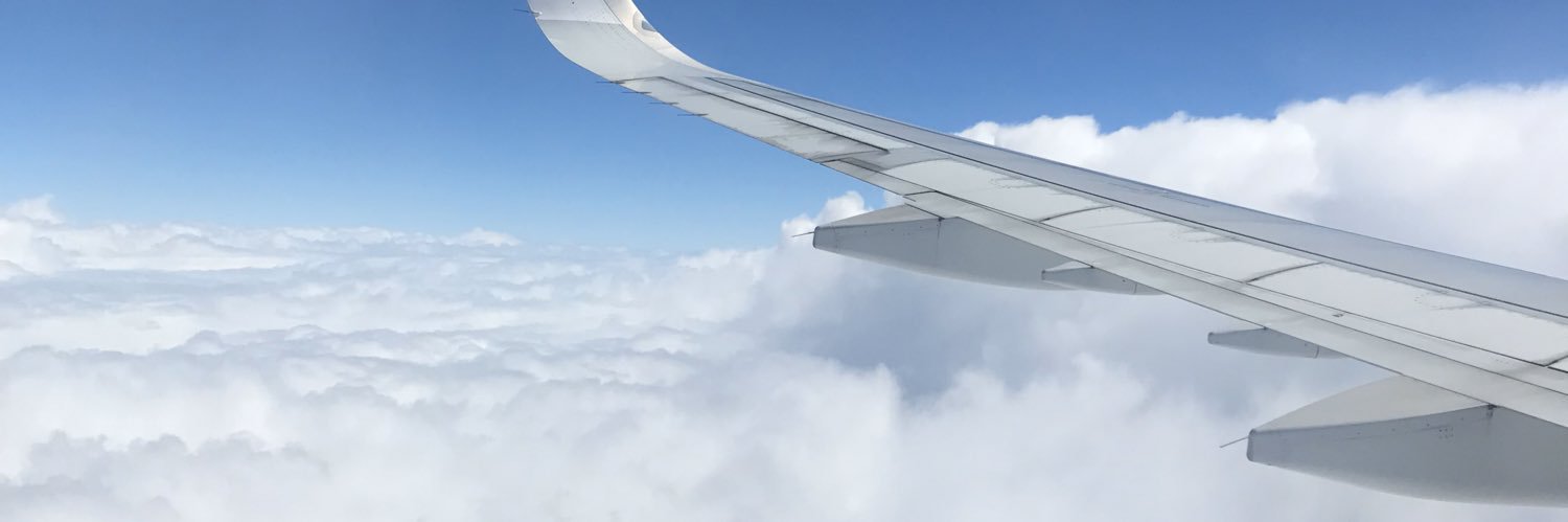chiniruttis's profile banner image