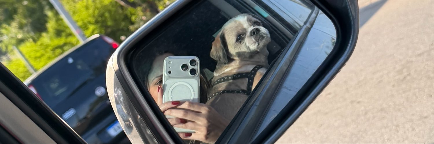 Letilopes12's profile banner image