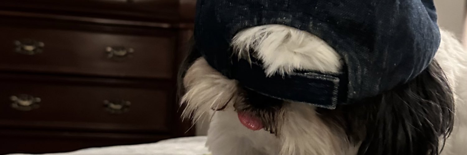 ximenarvm's profile banner image