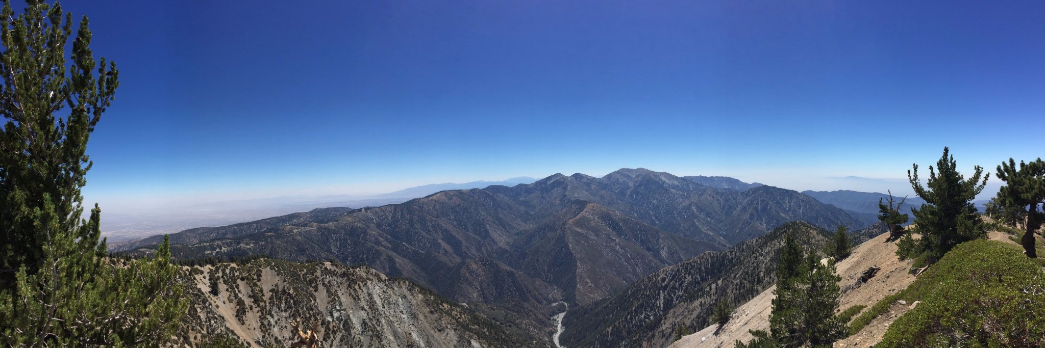 Peter Wagenet banner