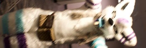 LuckythesamoyedAD banner