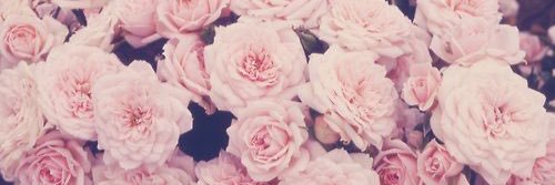kaarluuhhh's profile banner image