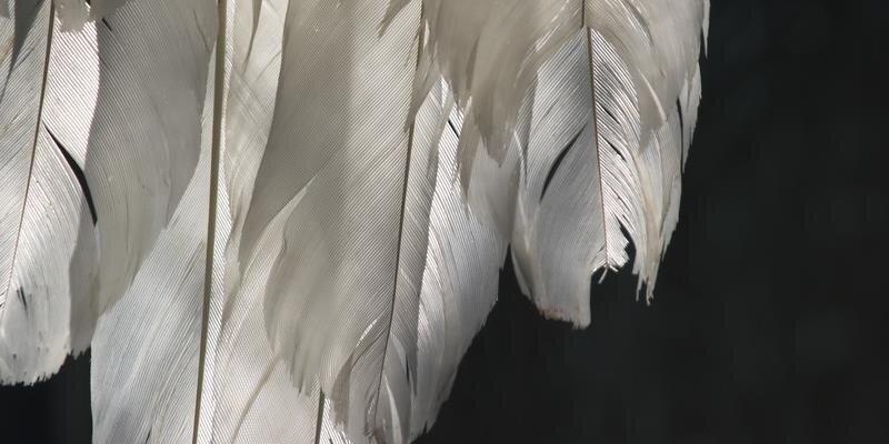 MamaRidds's profile banner image