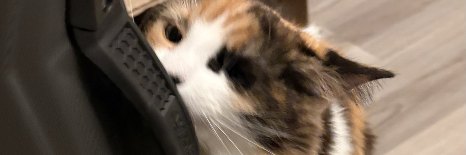 Cylabrah's profile banner image