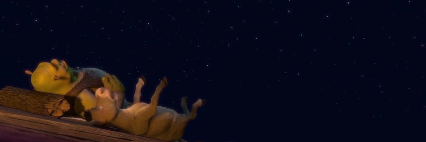 HPielak's profile banner image