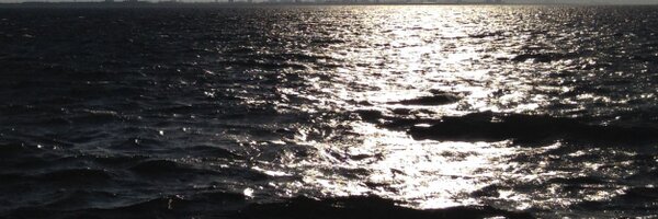 DavidBrante Profile Banner