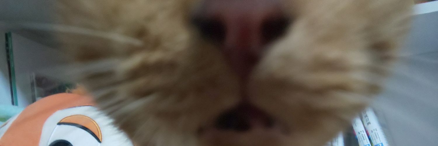 19961031Yousuke's profile banner image