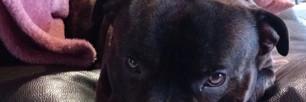 tinaoups Profile Banner