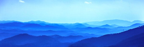 Rippsters Profile Banner